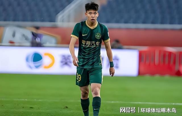 2026世界杯瑞典将战突尼斯